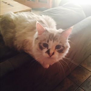 Meet your Posher, Kelly